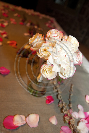 Gieck Wedding-pasta jays set-8023